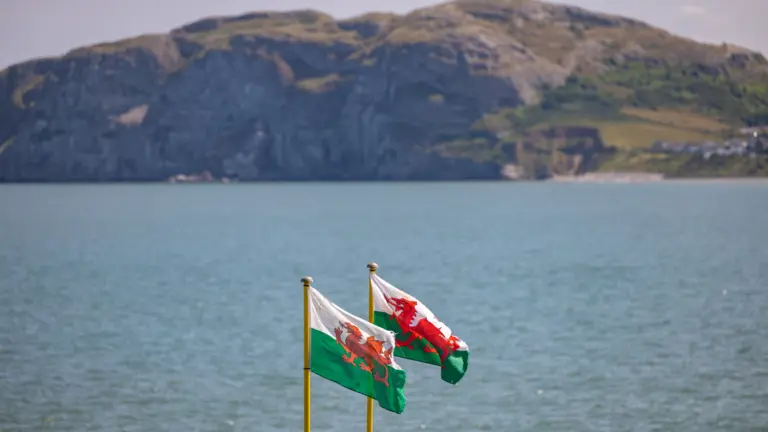 Welsh flags