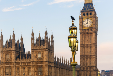 Houses of parliament